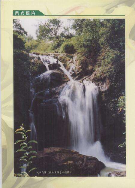 《紫金县2001年大事记》.pdf_广东省志预览图4