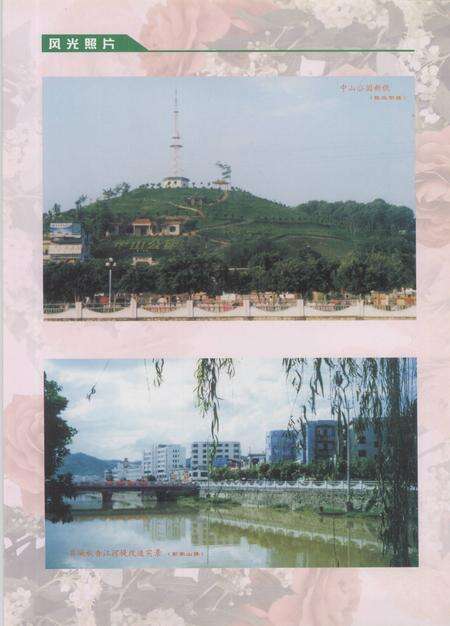 《紫金县2001年大事记》.pdf_广东省志预览图5