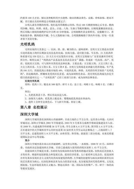 《广东设计之都：深圳市(3)》.pdf_广东省志预览图2