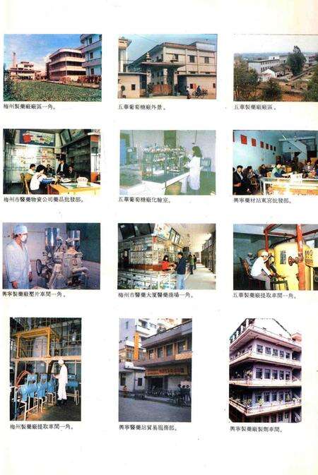 《梅州医药志》.pdf_广东省志预览图5