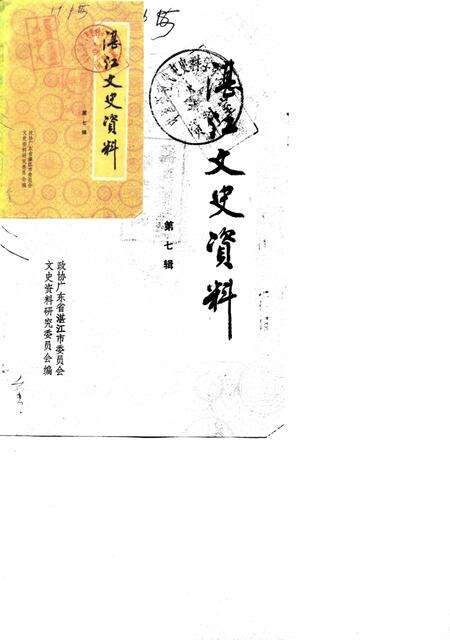《湛江郊区文史  第7辑》.pdf_广东省志缩略图