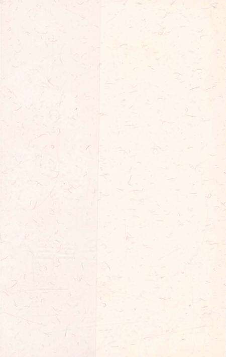 《广东连南瑶族自治县概况》.pdf_广东省志预览图1