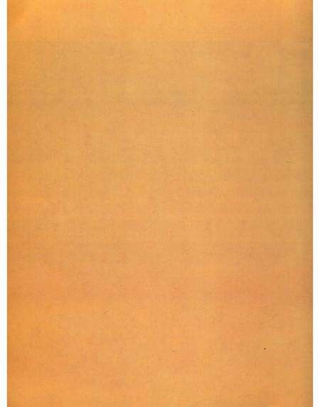 《湛江特色文化村》.pdf_广东省志预览图2