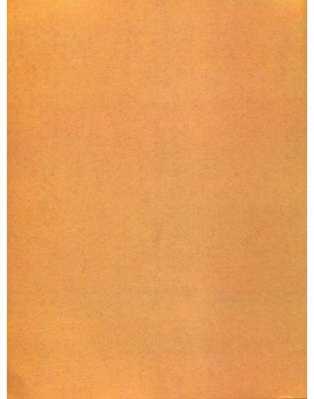 《湛江特色文化村》.pdf_广东省志预览图3