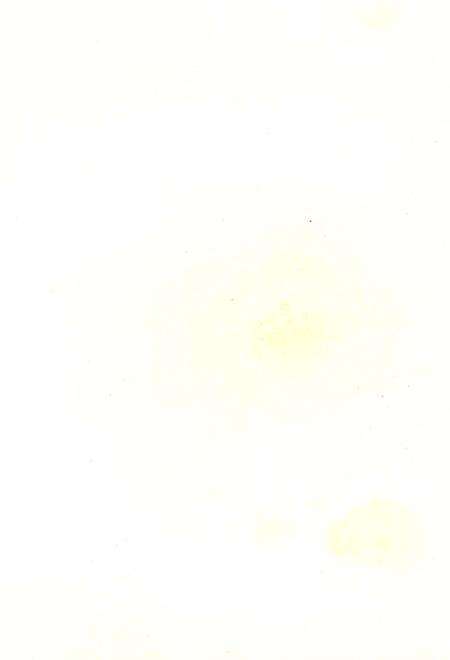 《肇庆林业志》.pdf_广东省志预览图3