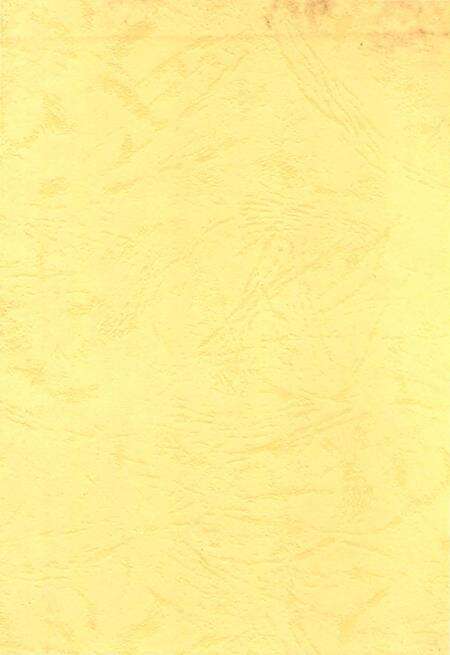 《仁化镇志》.pdf_广东省志预览图1