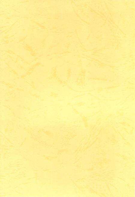 《仁化镇志》.pdf_广东省志预览图3