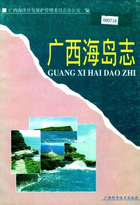《广西海岛志》.pdf_广西壮族自治区志缩略图