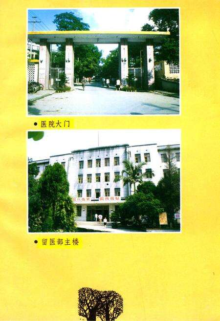 《广西医学院附属医院院志》.pdf_广西壮族自治区志预览图3