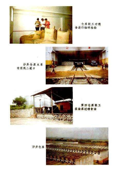 《南宁市粮食志》.pdf_广西壮族自治区志预览图4