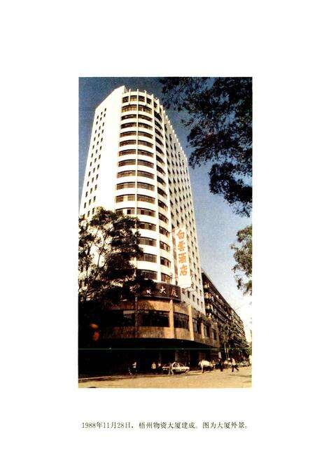 《梧州市物资局志》.pdf_广西壮族自治区志预览图5