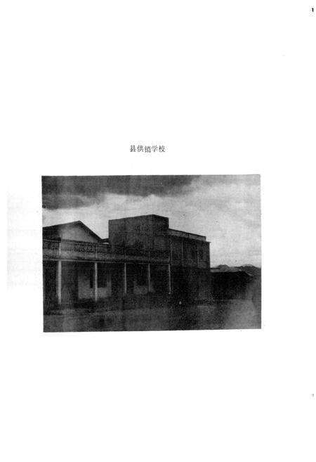 《广西壮族自治区博白县供销合作社志》.pdf_广西壮族自治区志预览图5