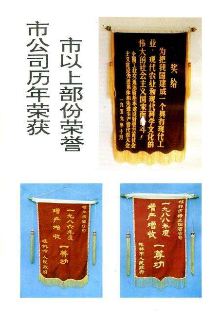 《桂林市糖烟酒志》.pdf_广西壮族自治区志预览图4