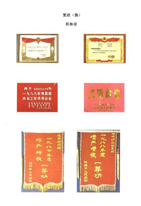 《桂林纺织品批发站志》.pdf_广西壮族自治区志预览图5