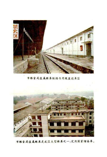 《贵港市粮食志》.pdf_广西壮族自治区志预览图5