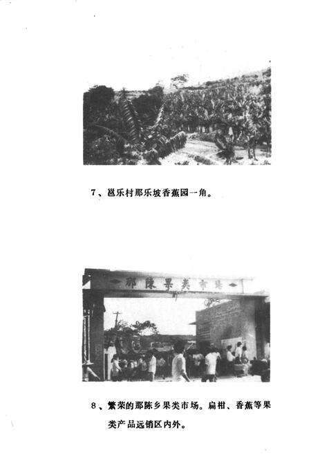 《那陈乡志》.pdf_广西壮族自治区志预览图5