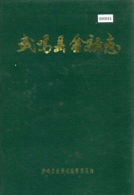 《武鸣县金融志》.pdf_广西壮族自治区志缩略图