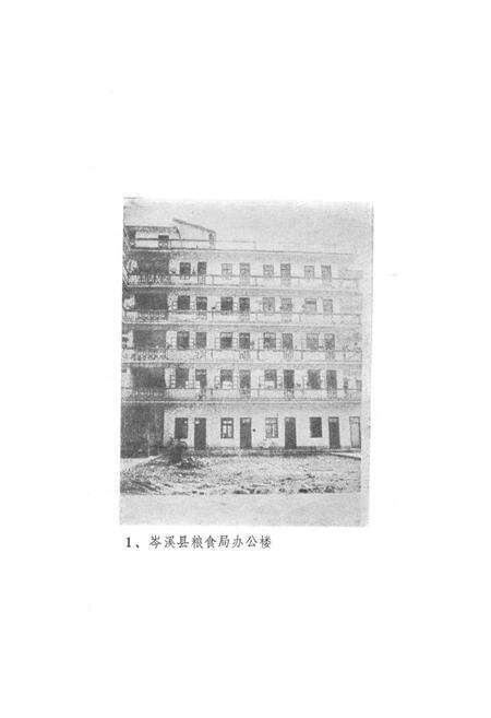 《岑溪县粮食志》.pdf_广西壮族自治区志预览图3