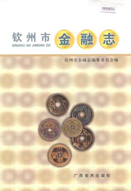 《钦州市金融志》.pdf_广西壮族自治区志缩略图