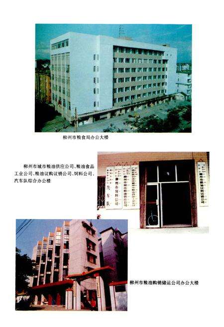 《柳州市粮食志》.pdf_广西壮族自治区志预览图5