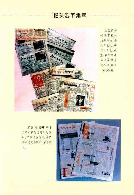 《柳州市日报志》.pdf_广西壮族自治区志预览图1