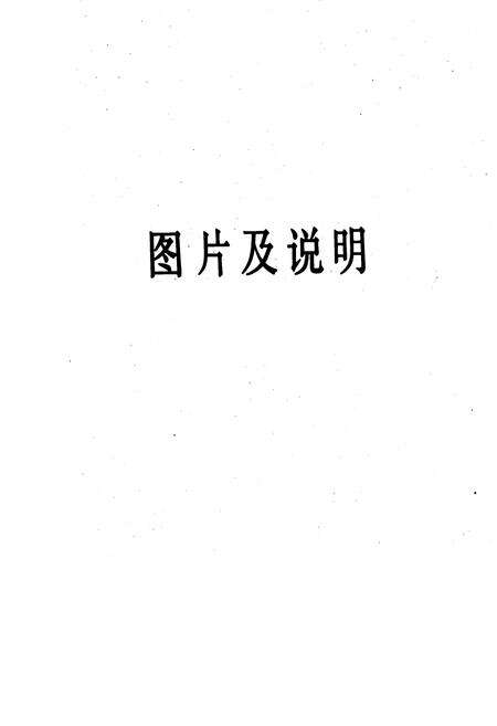 《八一锰矿志》.pdf_广西壮族自治区志预览图3