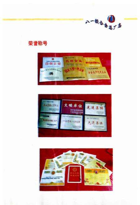 《八一铁合金总厂》.pdf_广西壮族自治区志预览图5