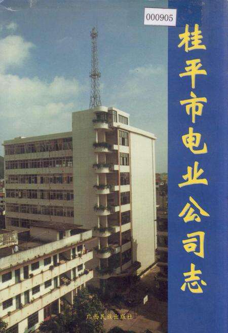 《桂平市电业公司志》.pdf_广西壮族自治区志缩略图