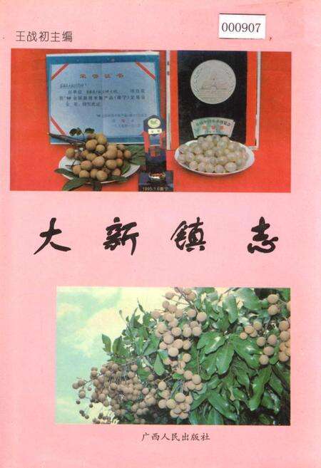 《大新镇志》.pdf_广西壮族自治区志缩略图