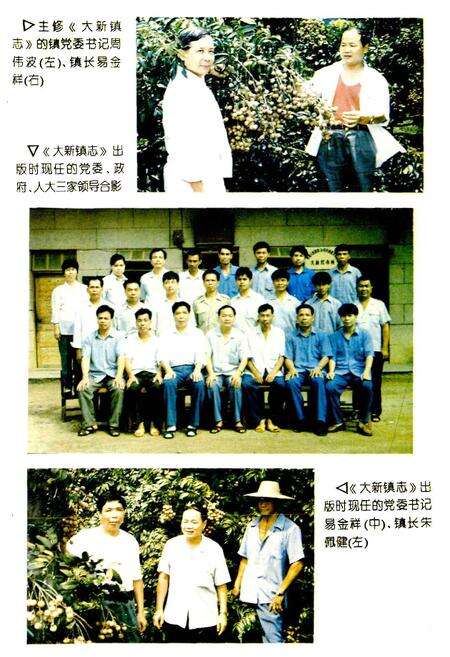 《大新镇志》.pdf_广西壮族自治区志预览图3