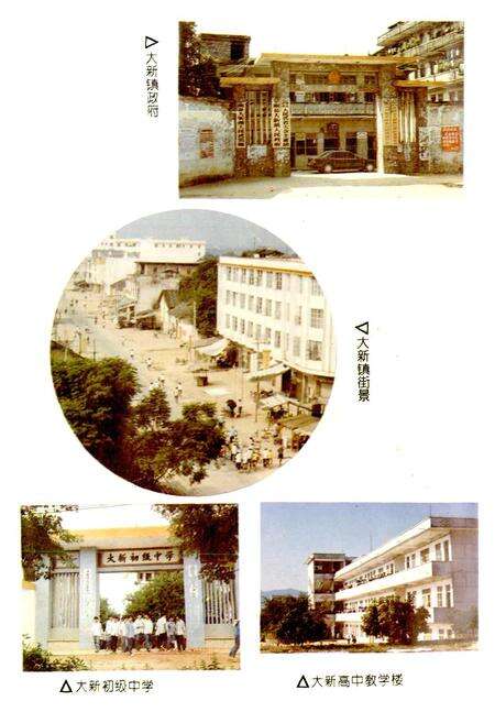 《大新镇志》.pdf_广西壮族自治区志预览图4