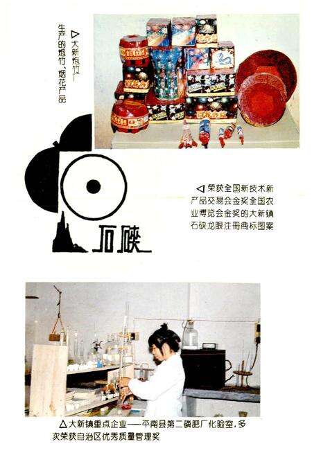 《大新镇志》.pdf_广西壮族自治区志预览图5