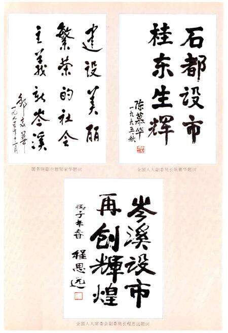 《岑溪市志》.pdf_广西壮族自治区志预览图5