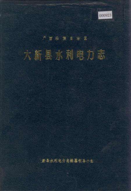 《大新县水利电力志》.pdf_广西壮族自治区志缩略图