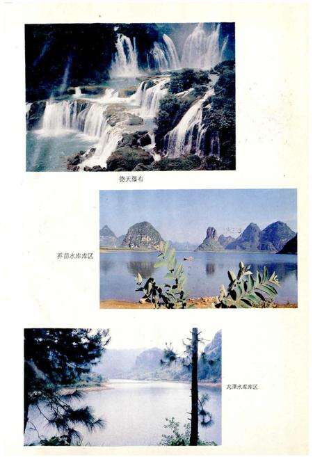 《大新县水利电力志》.pdf_广西壮族自治区志预览图2