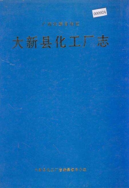 《大新县化工厂志》.pdf_广西壮族自治区志缩略图