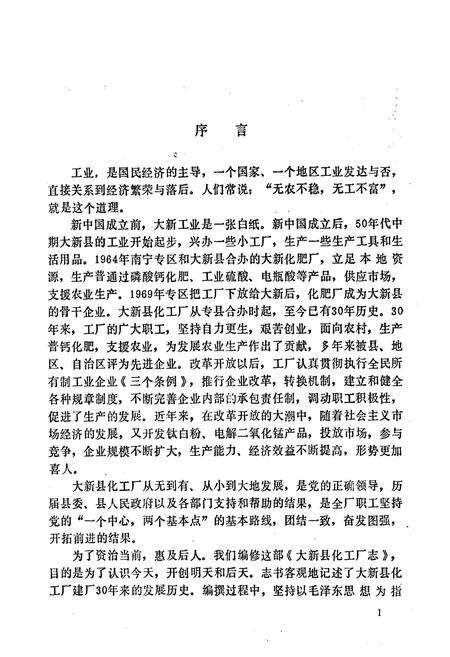 《大新县化工厂志》.pdf_广西壮族自治区志预览图4
