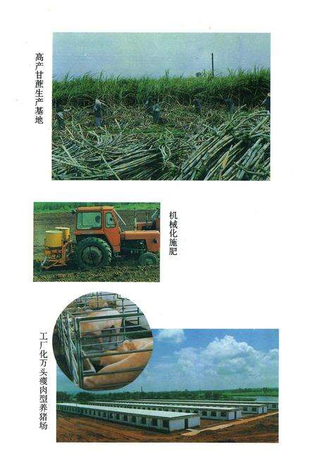 《良圻农场志》.pdf_广西壮族自治区志预览图5