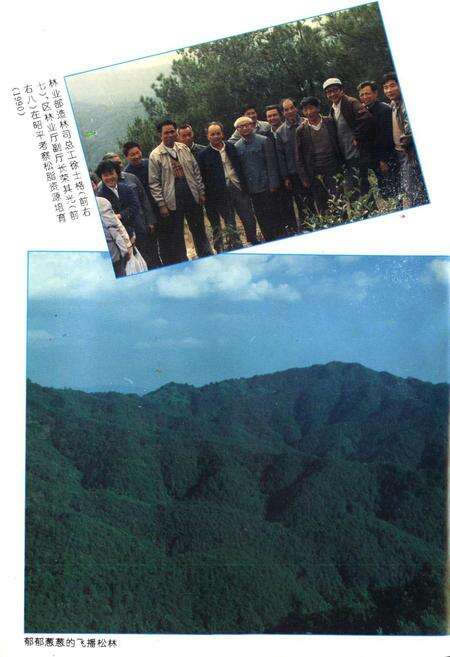 《昭平松脂志》.pdf_广西壮族自治区志预览图5