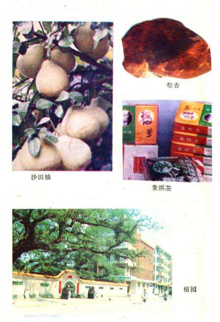 《昭平风物志》.pdf_广西壮族自治区志预览图4