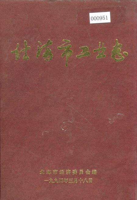 《北海市工业志》.pdf_广西壮族自治区志缩略图