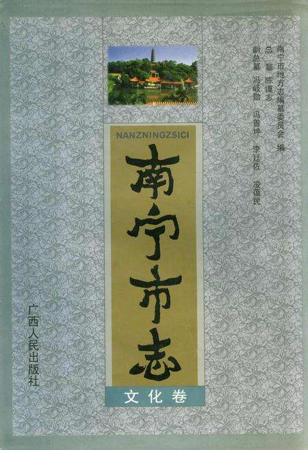 《南宁市志文化卷》.pdf_广西壮族自治区志缩略图