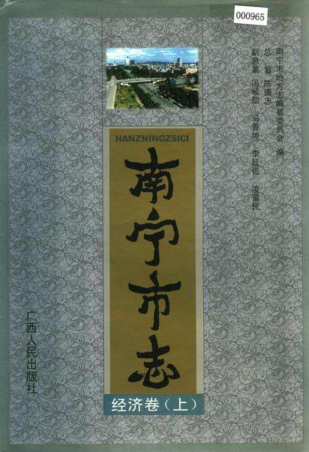 《南宁市志经济卷 （上）》.pdf_广西壮族自治区志缩略图