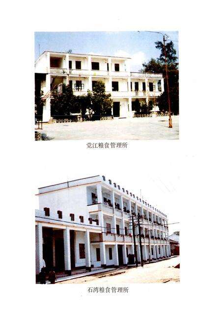 《合浦县粮食志》.pdf_广西壮族自治区志预览图5