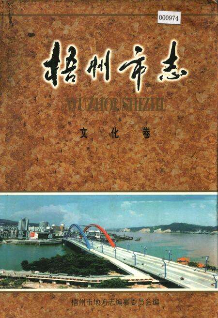 《梧州市志 文化卷》.pdf_广西壮族自治区志缩略图