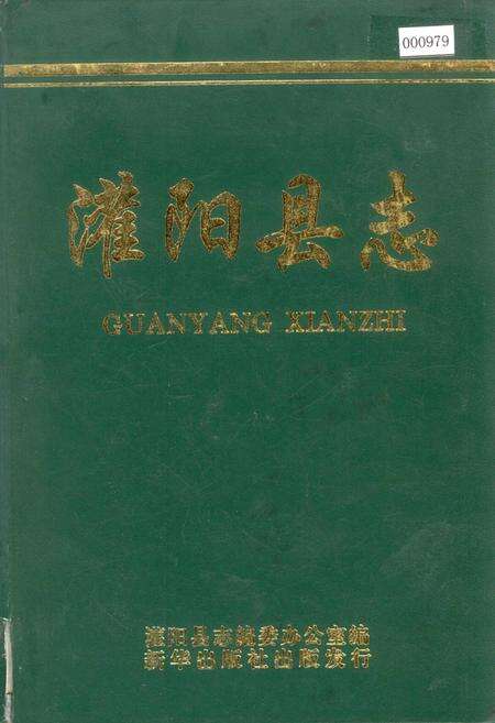 《灌阳县志》.pdf_广西壮族自治区志缩略图