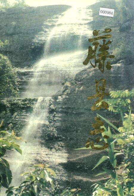 《藤县志》.pdf_广西壮族自治区志缩略图