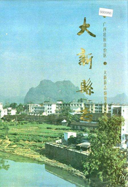 《大新县志》.pdf_广西壮族自治区志缩略图