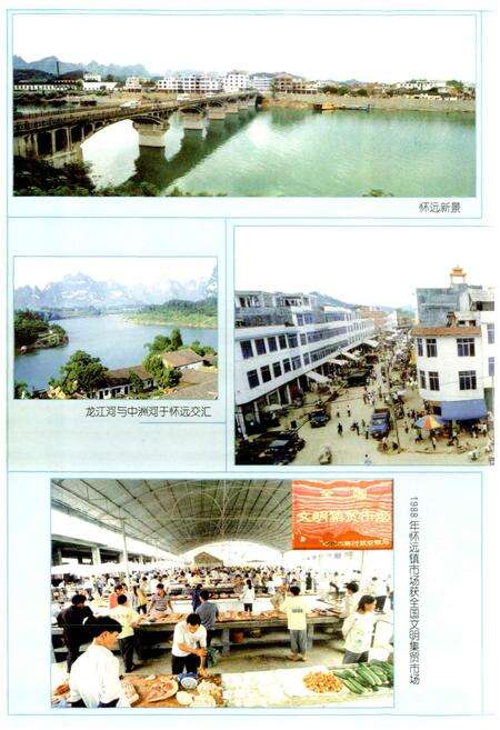 《怀远镇志》.pdf_广西壮族自治区志预览图2