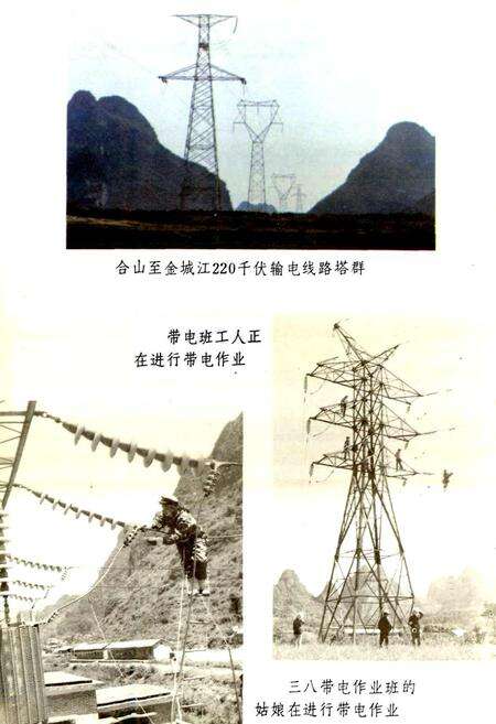 《河池电业局志》.pdf_广西壮族自治区志预览图4